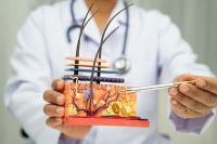 Foto: Arzt zeigt mit Kugelschreiber auf Modell von Haarwurzel